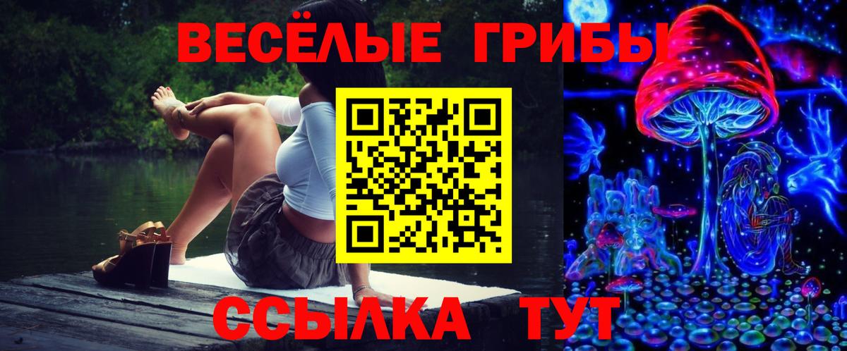 Псилоцибиновые грибы Psilocybine cubensis Асбест